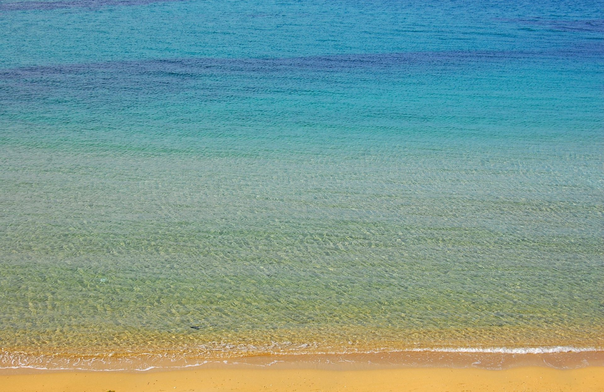 Acqua cristallina e sabbia dorata su una spiaggia della Puglia